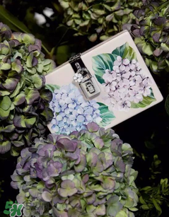 dolce gabanna杜嘉班納2017秋冬繡球花系列怎么樣_好看嗎？
