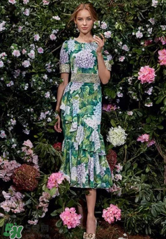 dolce gabanna杜嘉班納2017秋冬繡球花系列怎么樣_好看嗎？