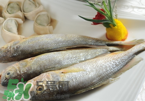 黃魚多少錢一斤？黃魚多少錢一斤2017？