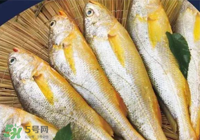 小黃魚(yú)長(zhǎng)大后會(huì)不會(huì)變成大黃魚(yú)？