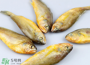 小黃魚不能和什么一起吃？小黃魚和什么相克？