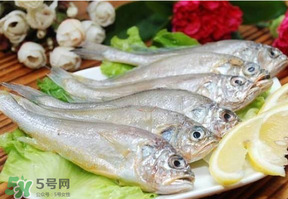小黃魚多少錢一斤？野生小黃魚多少錢一斤？
