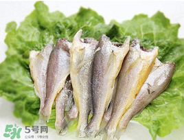 小黃魚可以養(yǎng)殖嗎？小黃魚能人工養(yǎng)殖嗎？