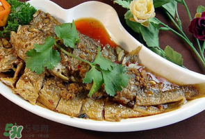 小黃魚可以養(yǎng)殖嗎？小黃魚能人工養(yǎng)殖嗎？