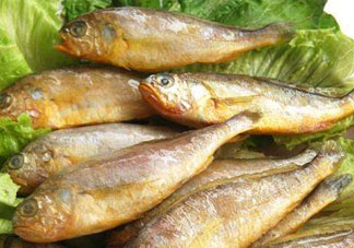 小黃魚(yú)多少錢(qián)一斤？野生小黃魚(yú)多少錢(qián)一斤？