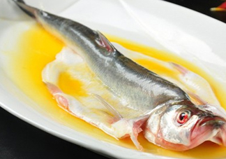 白條魚能長多大？白條魚可以長多大？