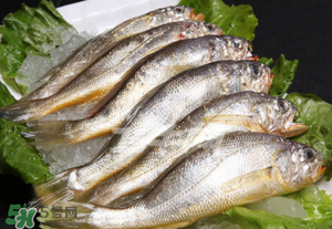 小黃魚不能和什么一起吃？小黃魚和什么相克？