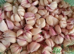 新蒜頭能曬干嗎？新鮮蒜頭曬干要多久