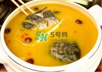 甲魚湯怎么做？甲魚湯的做法