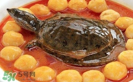 喝甲魚(yú)湯有什么好處？甲魚(yú)湯的功效與作用