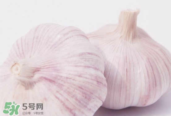 新蒜頭多少錢一斤2017？新蒜頭市場價格