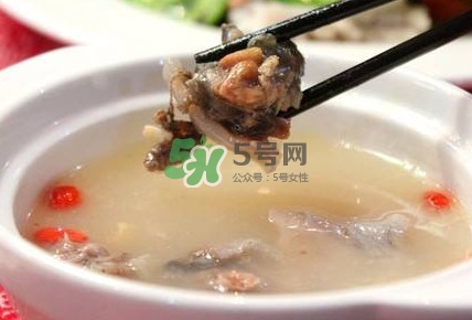 甲魚湯怎么做？甲魚湯的做法
