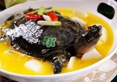 甲魚不能和什么一起吃？甲魚不能跟什么食物一起吃