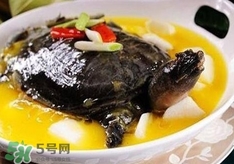 甲魚湯孕婦能喝嗎？甲魚湯孕婦可以喝嗎