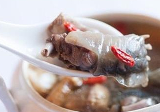 甲魚湯怎么做？甲魚湯的做法