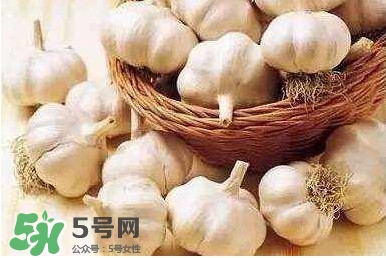 新蒜頭怎么保存不發(fā)芽？新蒜頭怎么存放