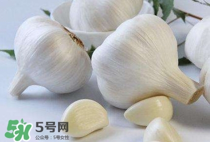 新蒜頭怎么保存不發(fā)芽？新蒜頭怎么存放