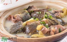 喝甲魚(yú)湯有什么好處？甲魚(yú)湯的功效與作用