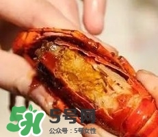 蝦黃孕婦能吃嗎？蝦黃在哪個位置圖解