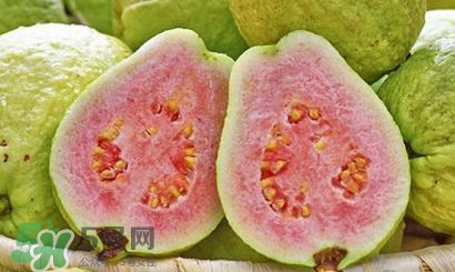 番石榴中間的籽能吃嗎？番石榴里面的籽能吃嗎