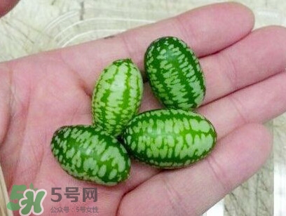 迷你西瓜能生吃嗎？迷你西瓜怎么吃