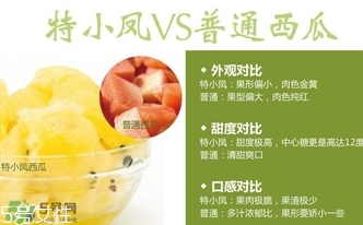 特小鳳西瓜孕婦能吃嗎？特小鳳西瓜孕婦可以吃嗎