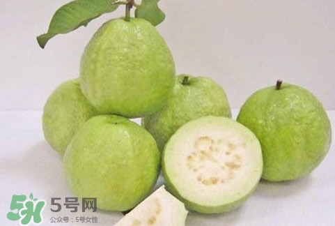 番石榴什么時(shí)候成熟？番石榴什么時(shí)候上市