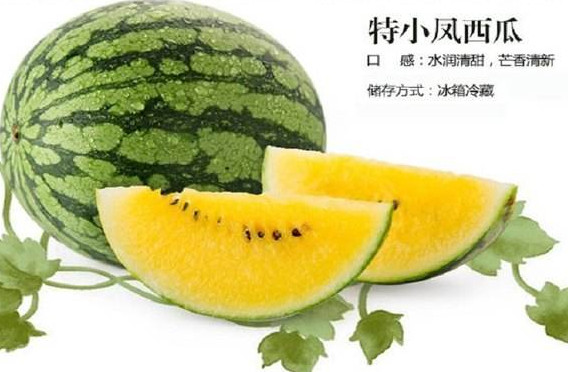 特小鳳西瓜是轉(zhuǎn)基因嗎？特小鳳西瓜是不是轉(zhuǎn)基因