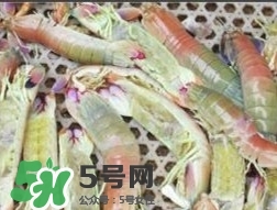 蝦黃孕婦能吃嗎？蝦黃在哪個位置圖解
