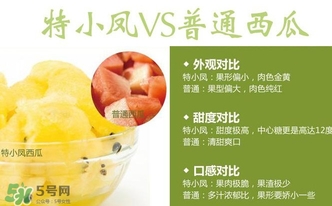 特小鳳西瓜多少錢(qián)一斤2017？特小鳳西瓜價(jià)格