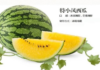 特小鳳西瓜是轉(zhuǎn)基因嗎？特小鳳西瓜是不是轉(zhuǎn)基因