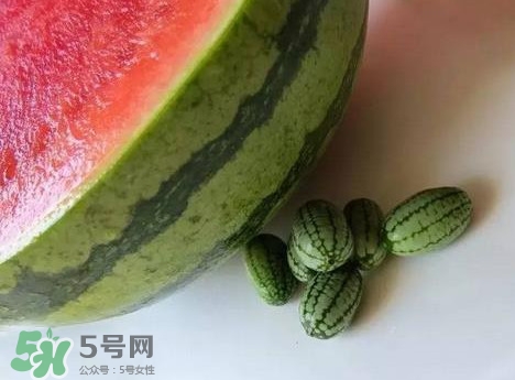 世界上最小的西瓜  迷你西瓜多少錢一個(gè)？