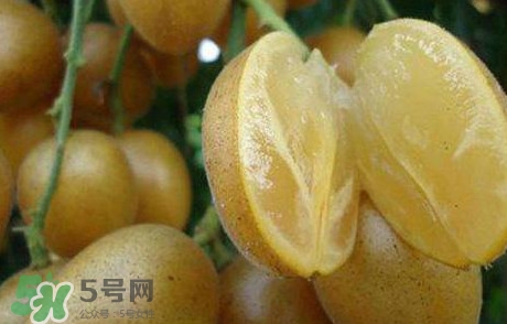 黃皮果多少錢(qián)一斤2017？黃皮果價(jià)格