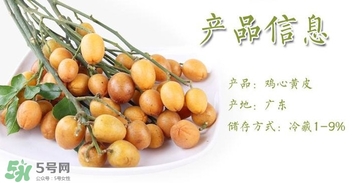 黃皮果什么時候成熟？黃皮果什么時候上市