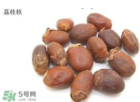 荔枝核能種嗎？荔枝核怎么種出盆栽