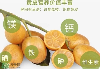 如何種植黃皮果？黃皮果怎么種植？