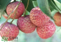 荔枝吃多了會(huì)怎么樣？荔枝上火怎么辦？