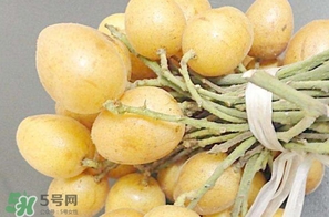 黃皮果多少錢(qián)一斤2017？黃皮果價(jià)格