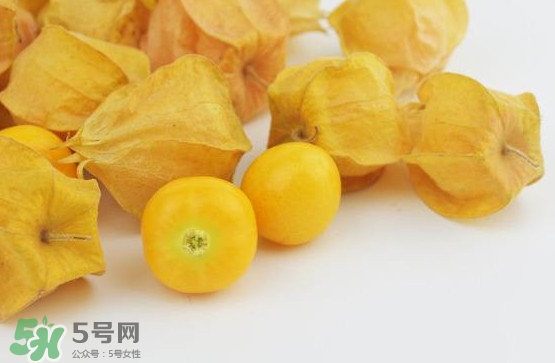 姑娘果是寒性嗎？姑娘果是涼性還是熱性？