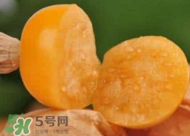 姑娘果是寒性嗎？姑娘果是涼性還是熱性？