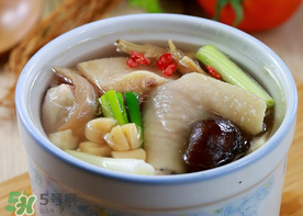 鴨肉能和香菇一起燉嗎？香菇燉鴨肉有毒嗎？