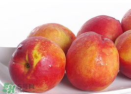 吃油桃會拉肚子嗎？拉肚子可以吃油桃嗎？