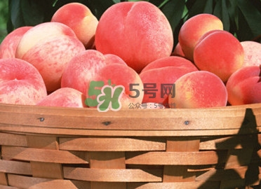 血桃多少錢(qián)一斤2017？血桃哪個(gè)品種最好吃