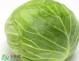 圓白菜是什么菜？圓白菜能生吃嗎？