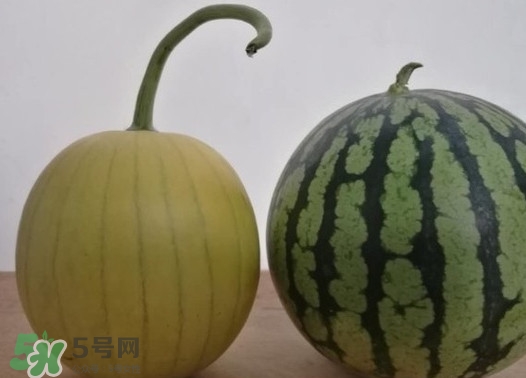 四色瓤西瓜是轉(zhuǎn)基因嗎？四色瓤西瓜是不是轉(zhuǎn)基因？