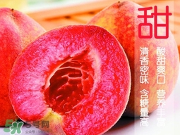 血桃?guī)自鲁墒?？血桃有什么營(yíng)養(yǎng)價(jià)值