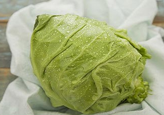 圓白菜是包菜嗎？圓白菜是大頭菜嗎？