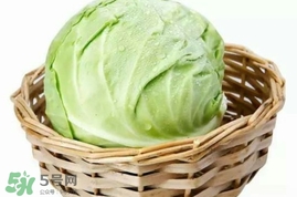 圓白菜是卷心菜嗎？圓白菜是不就是卷心菜