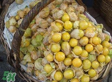 花姑娘水果怎么吃？花姑娘水果吃之前要洗嗎？