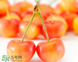 孕婦可以吃櫻桃干嗎？孕婦吃櫻桃干好嗎有什么危害？
